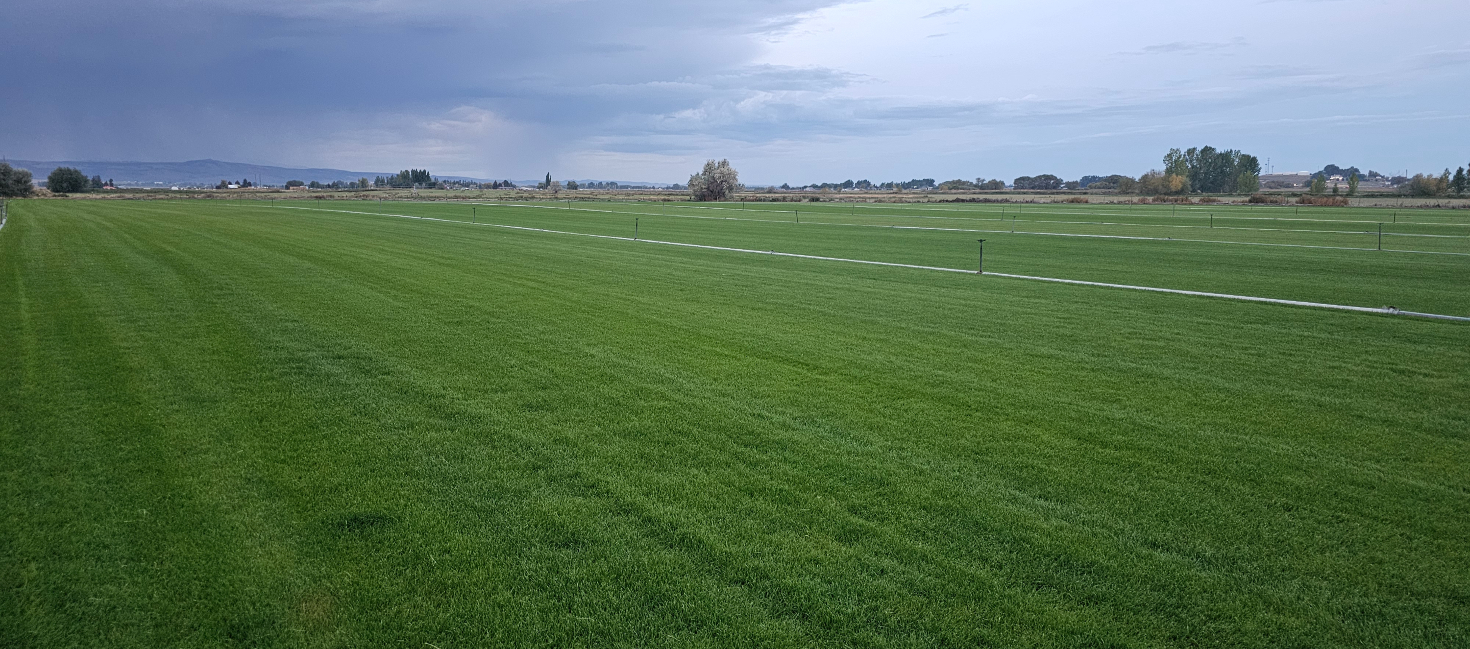 Green sod field under an East Idaho sky