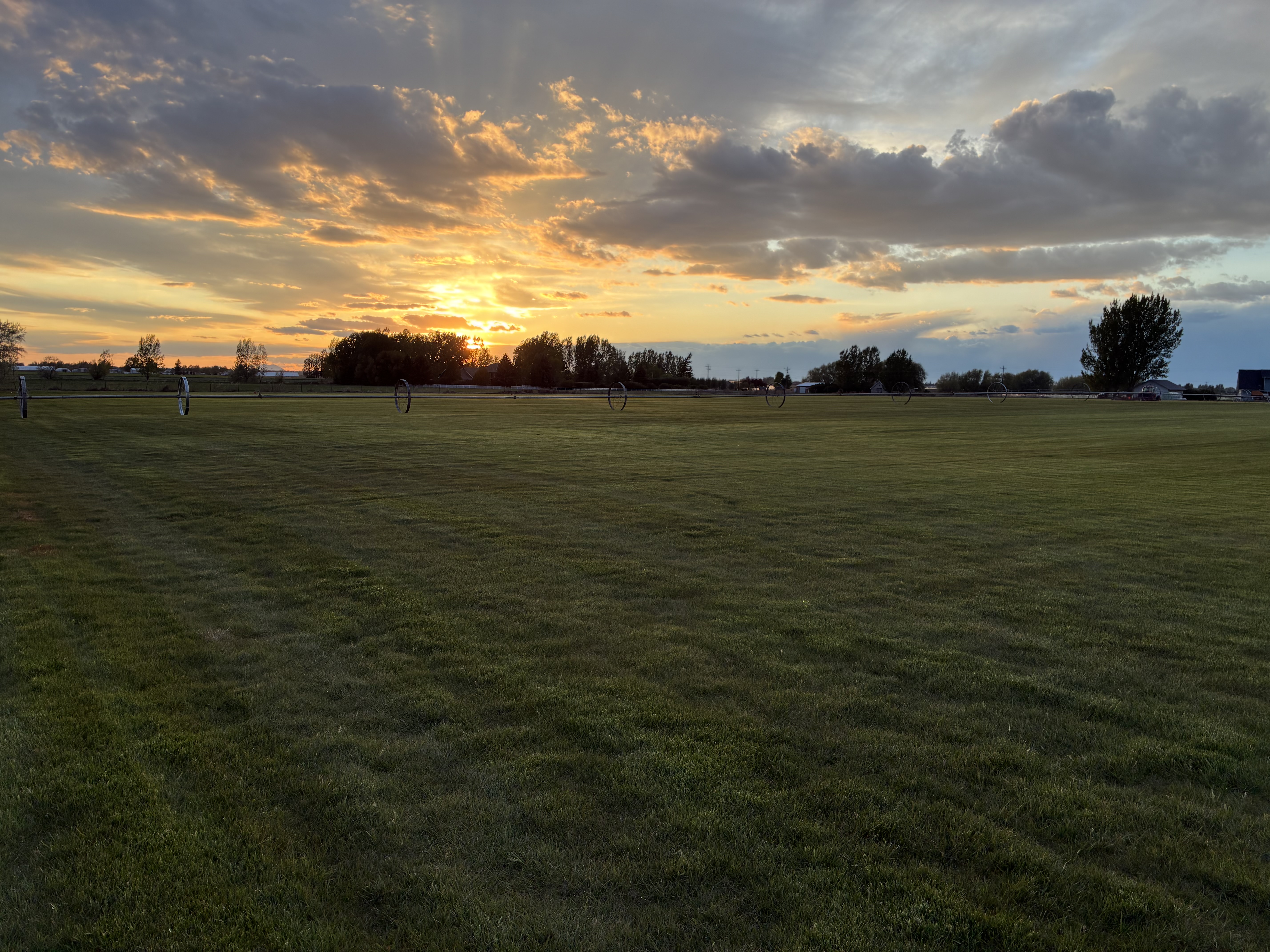 Golden sunset over a Kentucky Bluegrass sod field at the Shelley farm