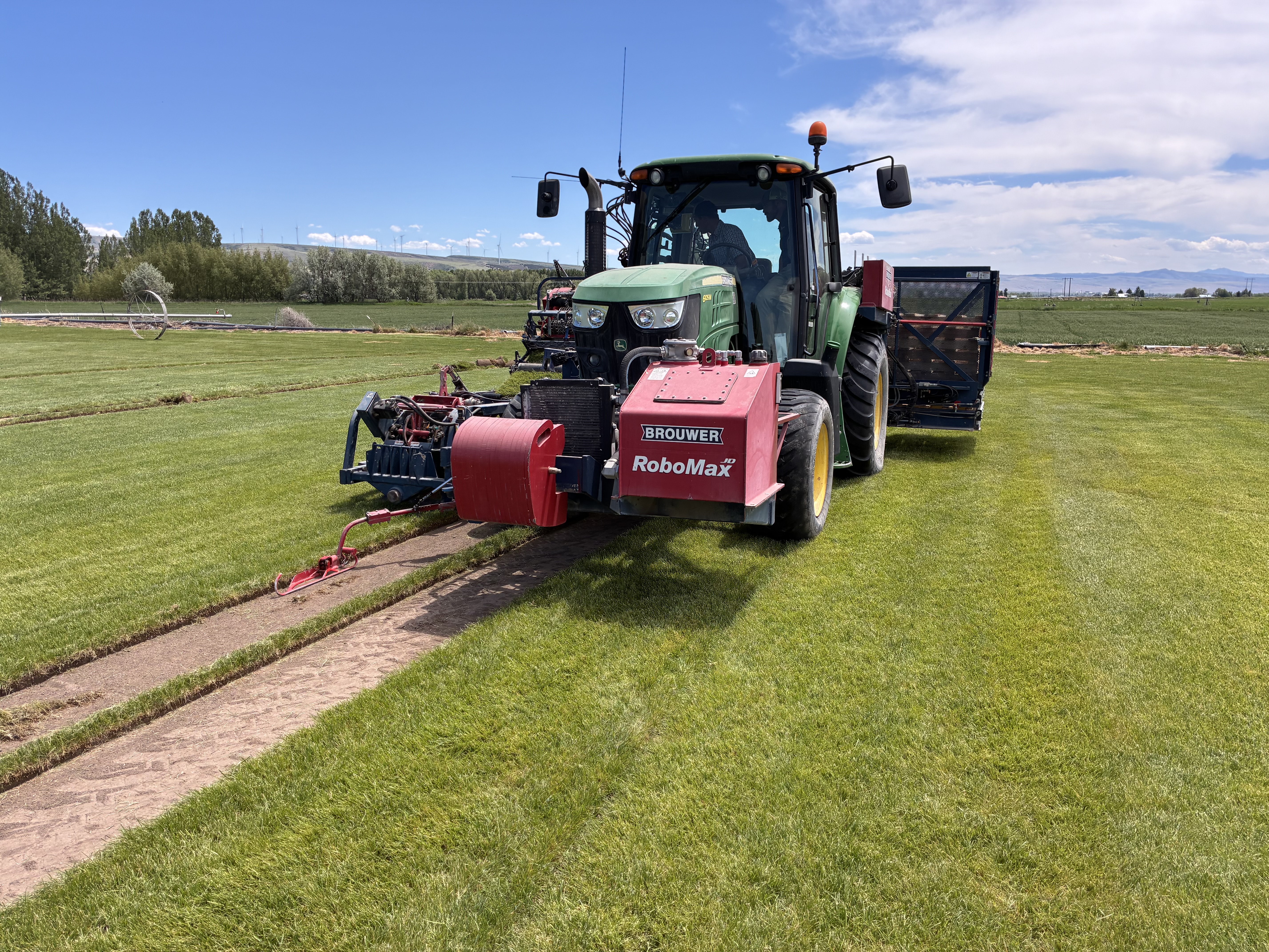 Brouwer RoboMax harvester cutting fresh sod on the Mountain River Sod farm